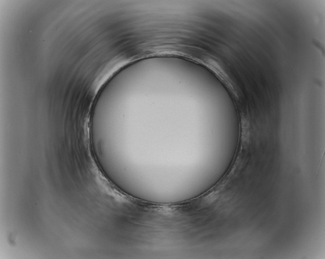 X0000100980814200807081242