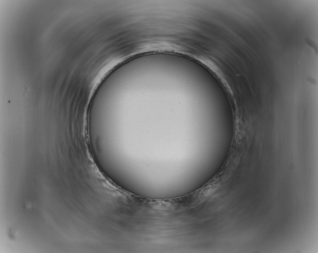 X0000100980815200807081242