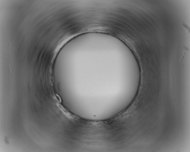 X0000100980816200807081242