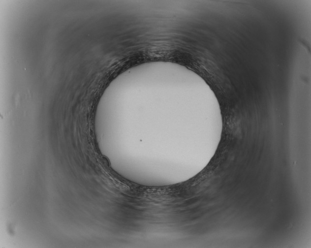 X0000100980817200807081241