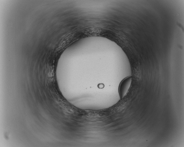 X0000100980818200807081241