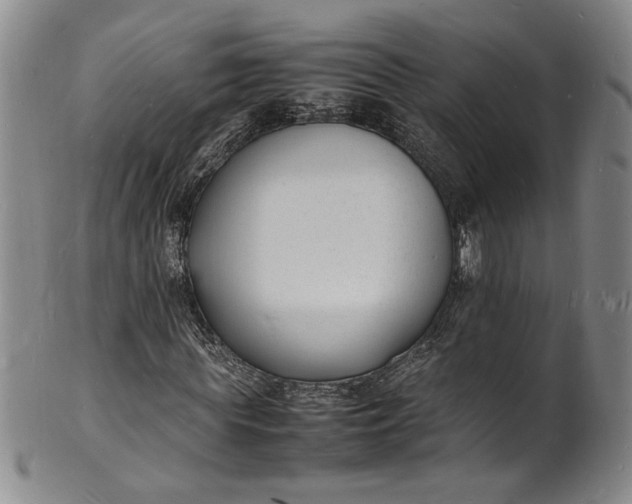 X0000100980819200807081241