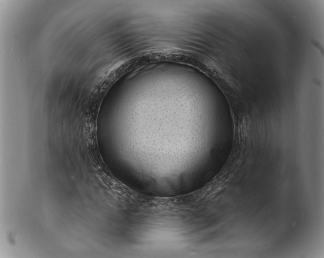 X0000100980822200807081241