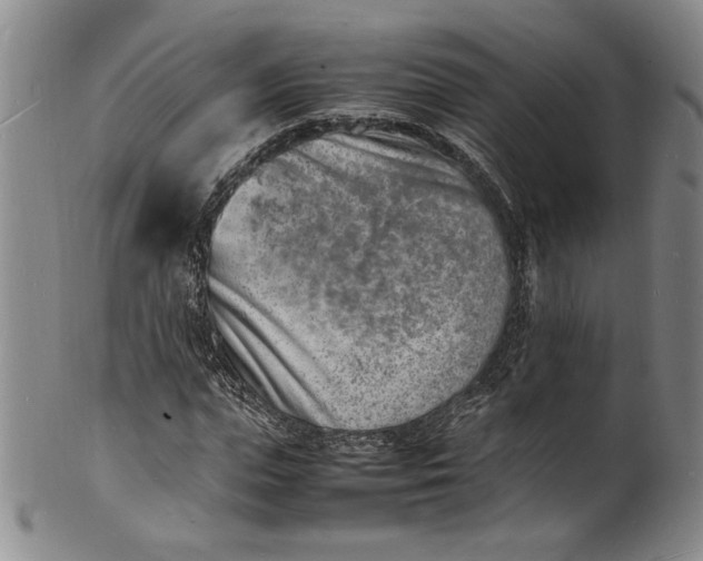 X0000100980823200807081241