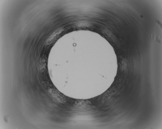 X0000100980824200807081241