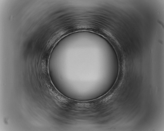 X0000100980825200807081241