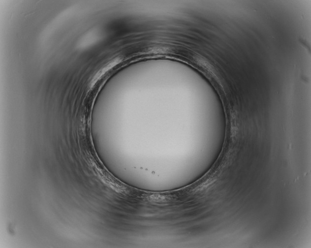 X0000100980827200807081241