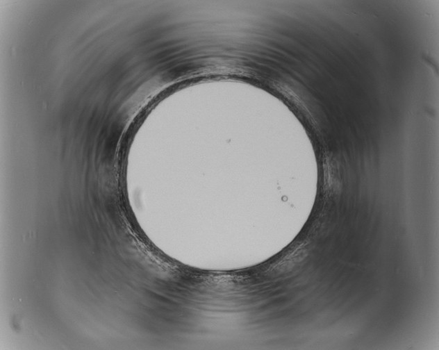 X0000100980828200807081241