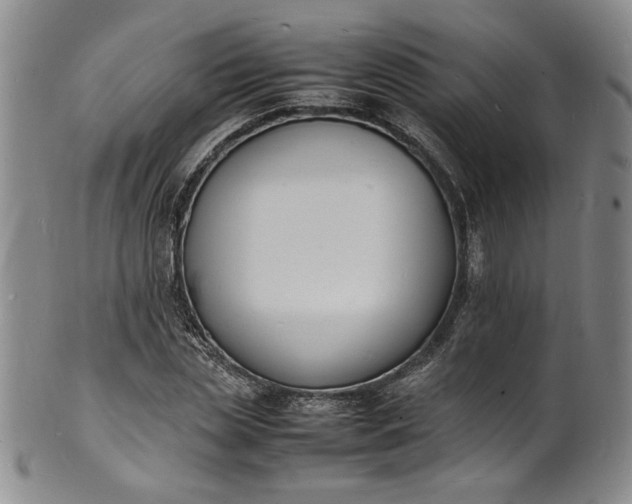 X0000100980829200807081241