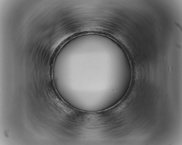 X0000100980830200807081241