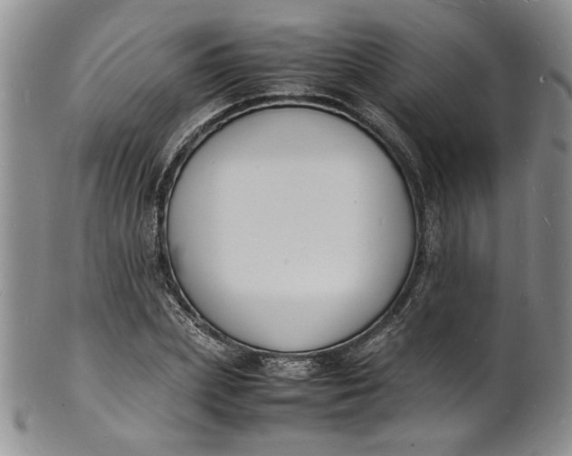 X0000100980831200807081241