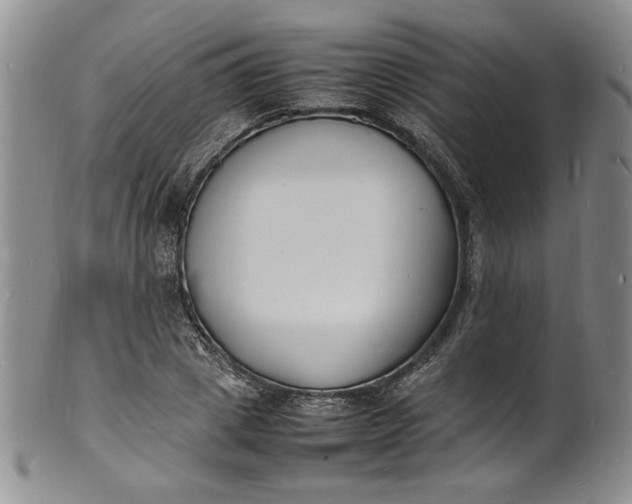 X0000100980833200807081241