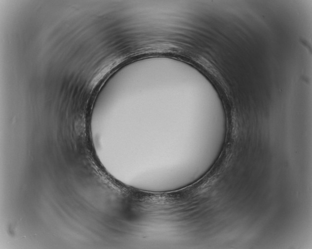 X0000100980834200807081241