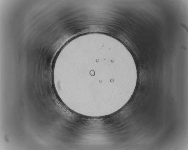 X0000100980836200807081241