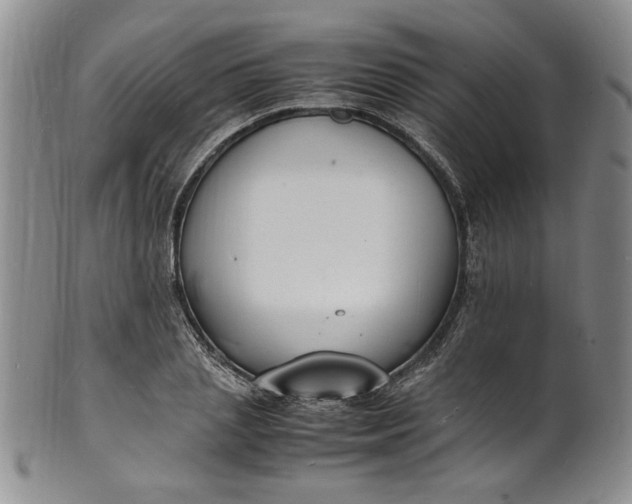 X0000100980837200807081241