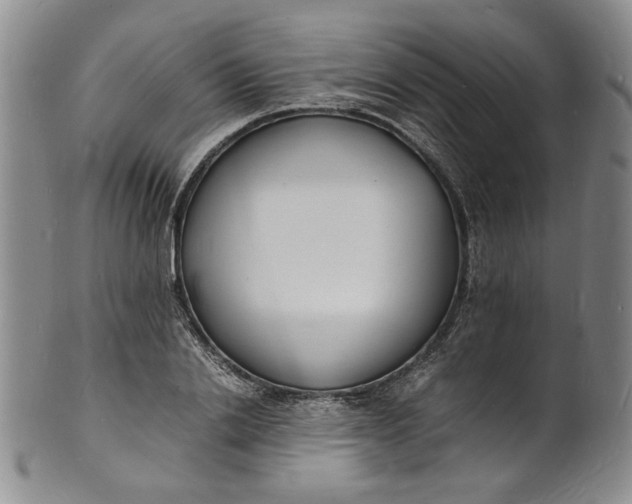 X0000100980838200807081241