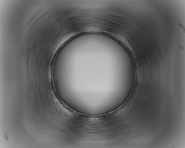 X0000100980839200807081241