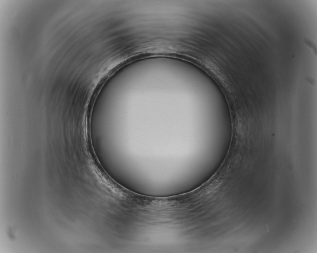 X0000100980840200807081241