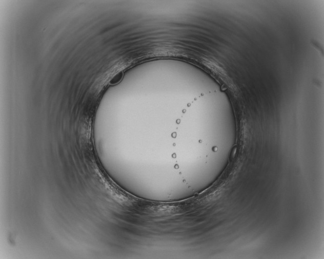 X0000100980841200807081242