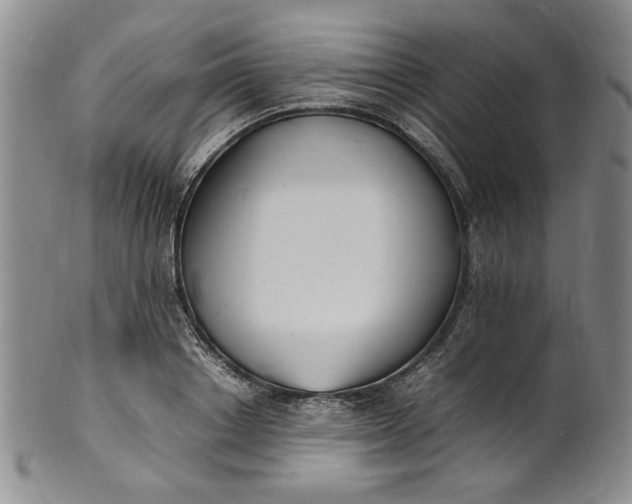 X0000100980842200807081242