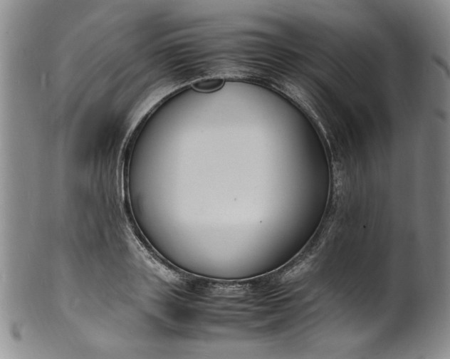 X0000100980843200807081242