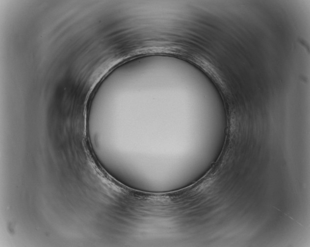 X0000100980844200807081242