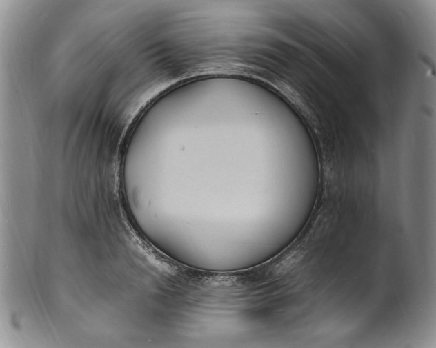 X0000100980846200807081242