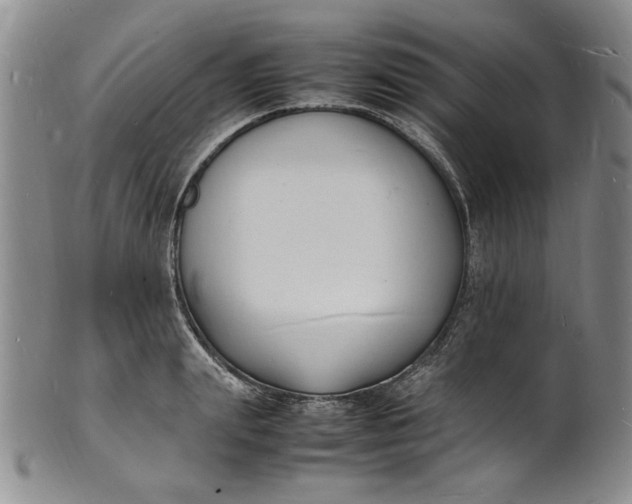 X0000100980847200807081242