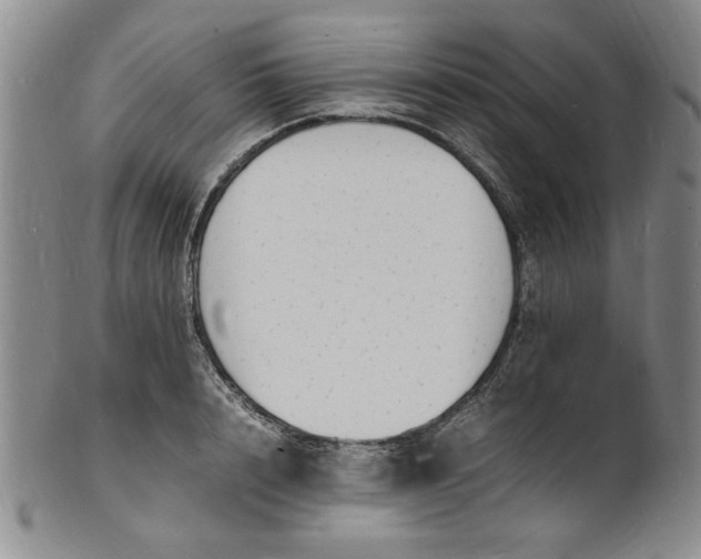 X0000100980848200807081242