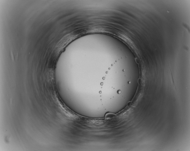 X0000100980849200807081242