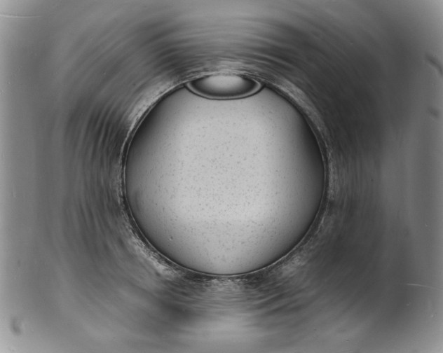 X0000100980850200807081242