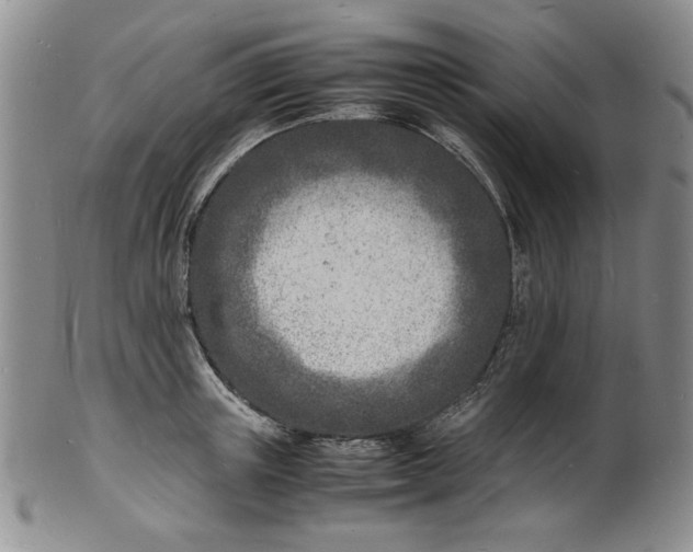 X0000100980851200807081242