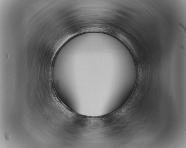 X0000100980852200807081242