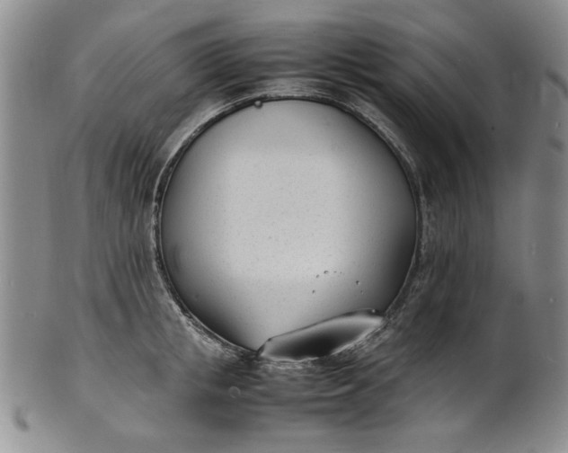 X0000100980853200807081242