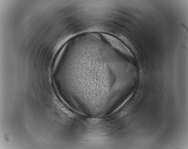 X0000100980854200807081242