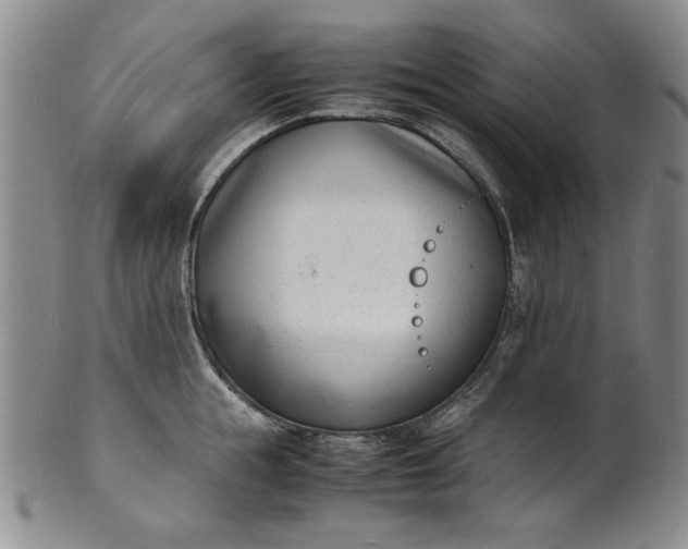 X0000100980855200807081242