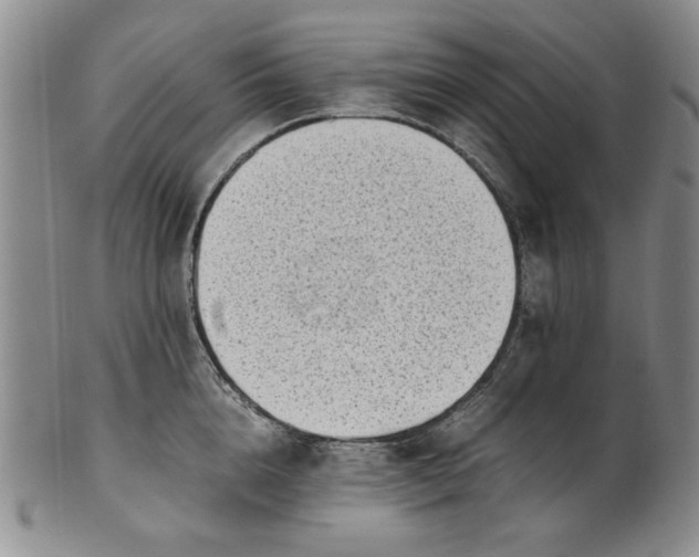 X0000100980856200807081242