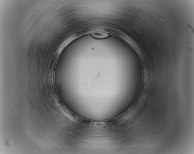 X0000100980858200807081242