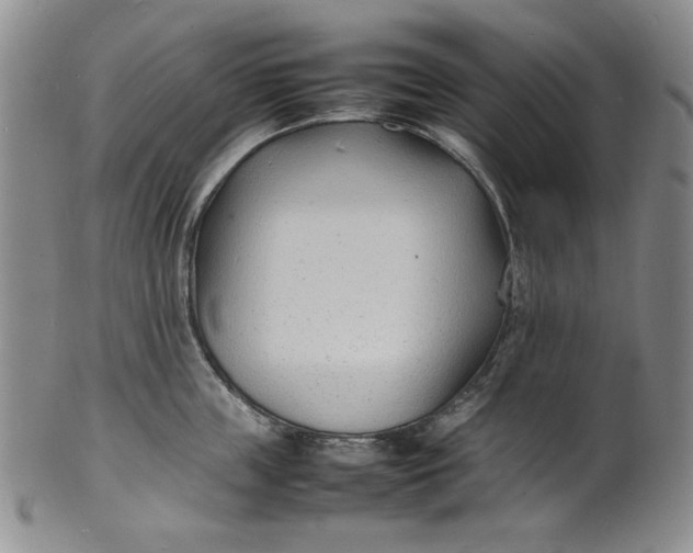 X0000100980859200807081242