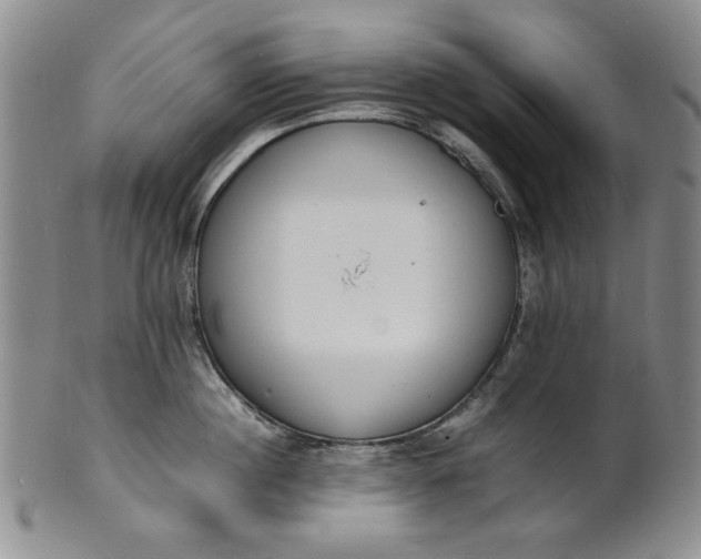 X0000100980860200807081242