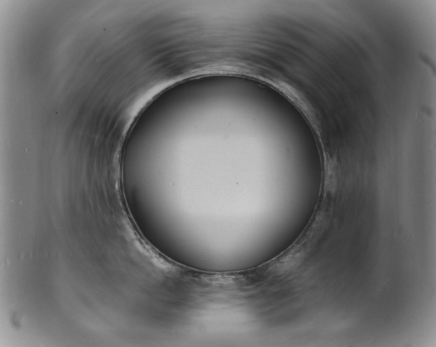 X0000100980862200807081242