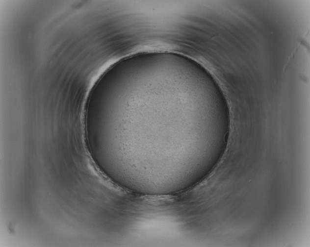 X0000100980864200807081242