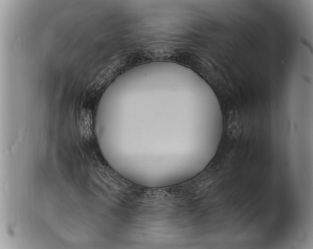 X0000100980866200807081241