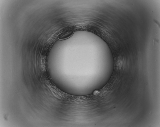 X0000100980868200807081241