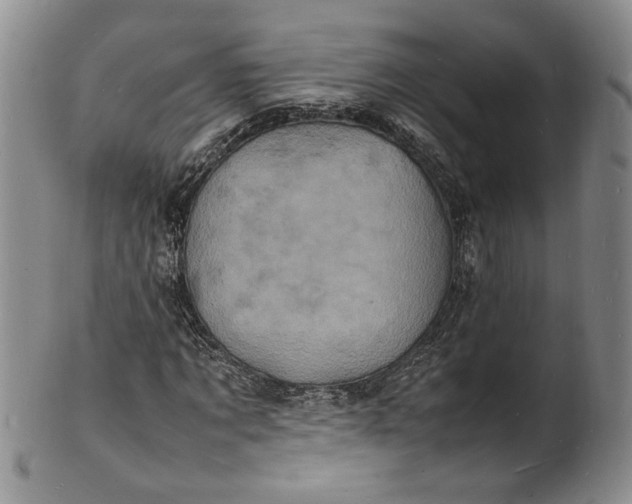 X0000100980869200807081241