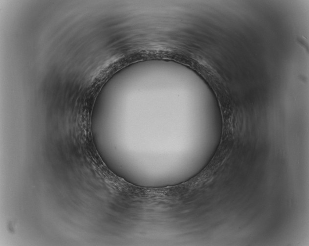 X0000100980870200807081241