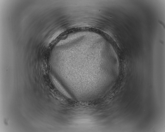 X0000100980871200807081241