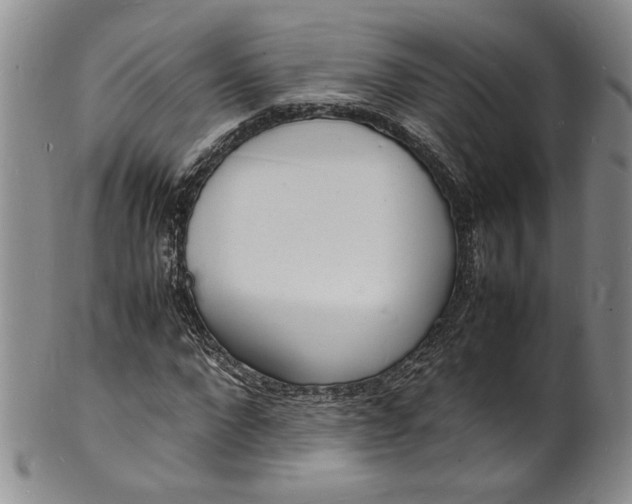 X0000100980872200807081241