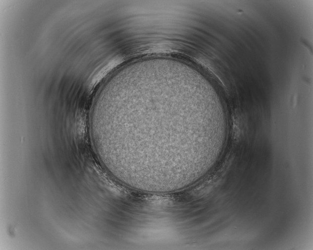 X0000100980874200807081241