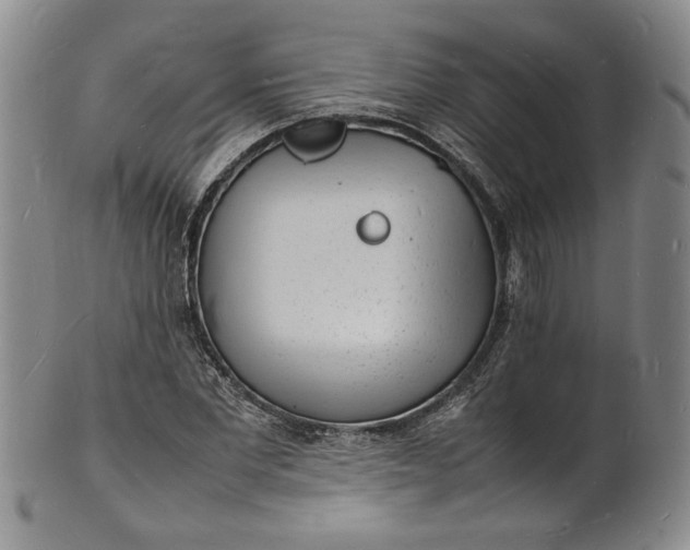 X0000100980877200807081241